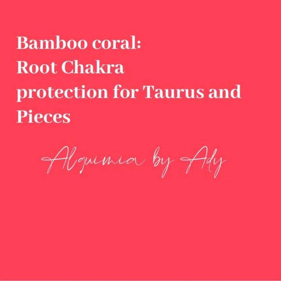 Bamboo coral silver statement bohemian dangle long earrings - Picture 2 of 4